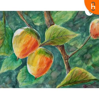 A Baby and a Sadhu Podcast Por  arte de portada