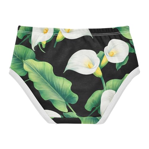 Toddler Underwear Floral 2t Cotton Cute Panties Girl Cartoon Briefs Underpants White Calla Lilies Green Leaves Black2