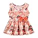 zarmfly Girls 2 Piece Short Set Baby Girl Summer Clothes Rainbow Bow Knot Tank Tops and Shorts Set Infant to Toddler 4t