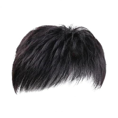 Perruque pour hommes pour masquer les taches de cheveux gris