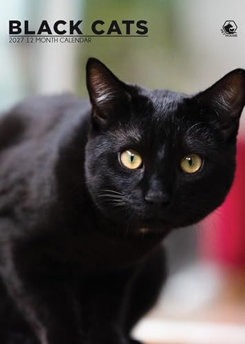 Calendario de Gatos Negros 2027 A3 con espiral para organizar el año en casa