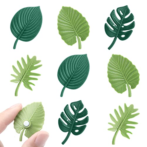 Set de 8 imanes decorativos de planta para frigorífico