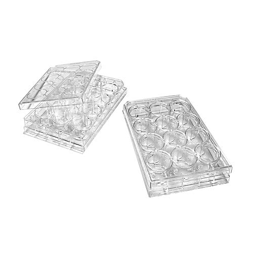 333-8026-01F Polystyrene Tissue Culture Microplate with Lid, Treated, Flat Bottom, Sterile, 12 Well (Pack of 50)