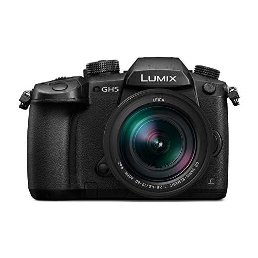 Panasonic LUMIX GH5 4K Mirrorless Camera with Lecia VARIO-Elmarit 12-60mm F2.8-4.0 Lens (DC-GH5LK)