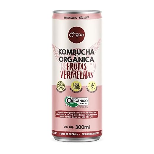 KOMBUCHA ORGANICA FRUTAS VERMELHAS ORGAN LT 300ML