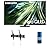 Samsung QN85QN90DAFXZA 85 Inch Neo QLED TV with 4K AI Upscaling with a Walts TV Large/Extra Large Tilt Mount for 43"-90" Compatible TV's and Walts HDTV Screen Cleaner Kit (2024)