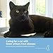 Caring for a Cat with Lower Urinary Tract Disease