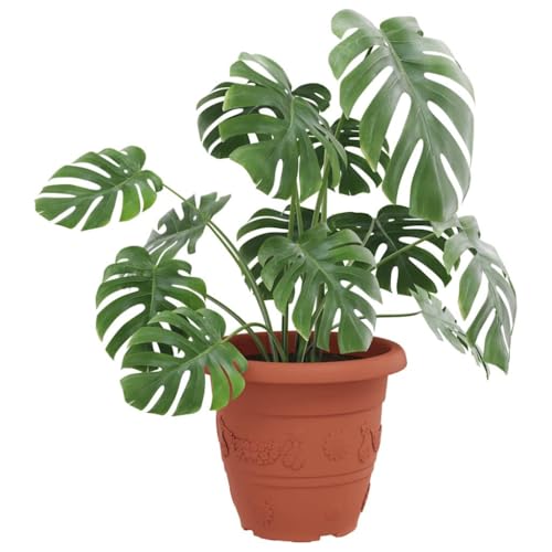 Pots de fleurs avec trous de drainage résistants aux intempéries 39cm