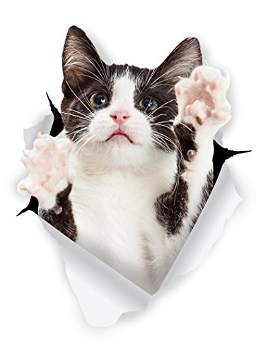 Winston & Bear Autocollants de chat 3D - 2 Pack - Noir et Tuxedo Cat Sticker pour mur,...