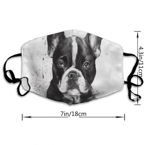 Adults Boys Girls Face Mask Face Bandana Scarf Reusable Gaiter2