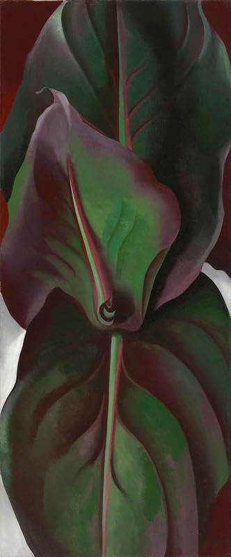 Feuilles De Canna Georgia O'Keeffe - Sublimez Vos Murs Vides sans Effort