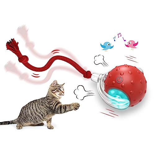 Interactive Cat Toys Ball for Indoor Cats Fast Rolling on Carpet, Chirping & Motion Activate Cat Toys (Red)