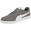Steel Grey White
