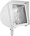 RAB Lighting FX70QTW Flexflood 70W HPS QT HPF with Arm Lamp, White