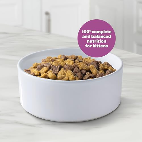 Image of 9Lives Kitten Essentials Chicken & Ocean Fish Dry Cat Food, 2.5lb Bag, Pack of 4