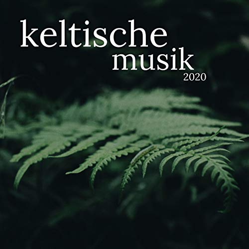 Keltische Musik Band