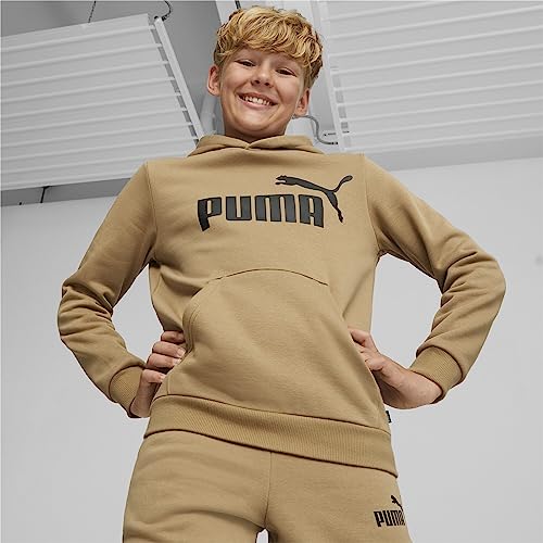 Image of Puma Boys Cotton Hooded Neck Sweatshirt