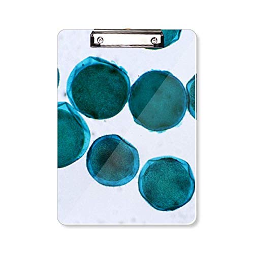 Porte-bloc A4 motif cellule bleue fini les feuilles froissées