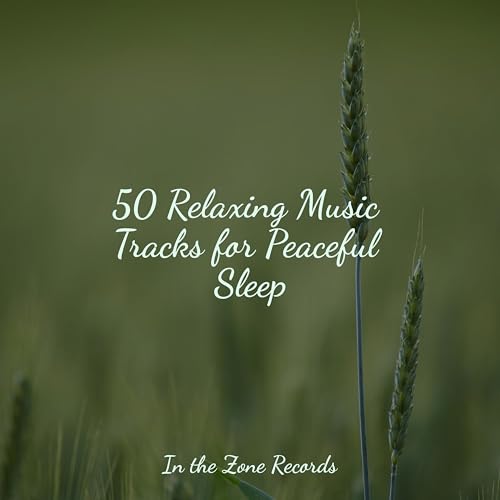 Play 50 Relaxing Music Tracks for Peaceful Sleep by Dog Music ...