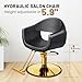 OmySalon Barber Chairs for Barbershop Black & Gold Styling Chair, Salon Chair for Hair Stylist, Heavy Duty Hydraulic Pump, 360°Swivel with Footrest, Hairdressing Home Beauty Spa Equipment