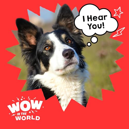 Speak, Fetch, Repeat: How Dogs Learn Words by Overhearing Humans
