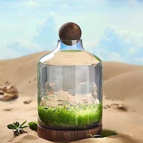 fancyflyKXbؐgCt zf Eiϋ㝁Ekrp rO/֑ ԎKKXbiόp (D)