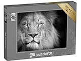 puzzleYOU