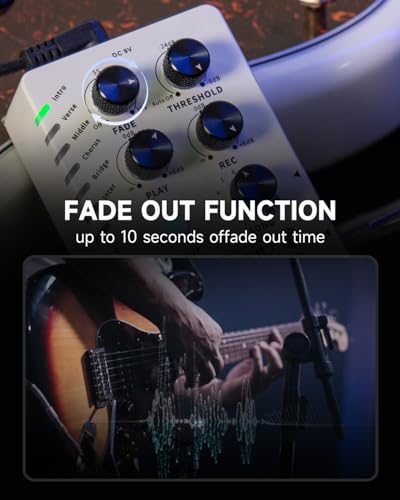 Image of MOOER Looper X2 Stereo Electric Guitar Loop Pedal, Bass Guitar Looper Pedal, Acoustic Guitar Looper Pedal with 11 Banks, 300 Minutes, 77 save slots, Fade Out Function for practice and live show