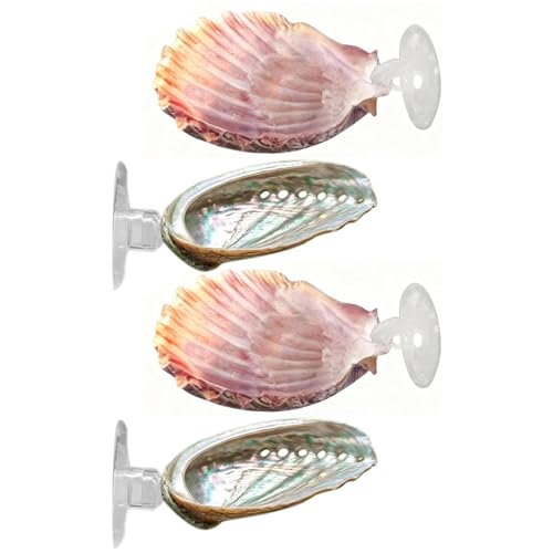 Facile da Installare: Dotato di un pratico a , il lettino per betta permette un'installazione veloce e intuitiva senza ricorrere ad attrezzi aggiuntivi, aiutando gli appassionati a creare habitat rilassanti per il loro pesce in acquari da scrivania o allestimenti acquatici più grandi con efficienza e cura.