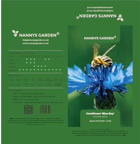 1,000 Seeds Cornflower Blue Boy Centaurea Cyanus Corn Flower -
