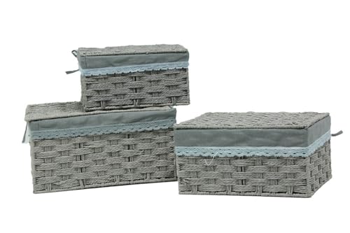 BAÚL Tela Grande S/3 (40 * 30 * 20)