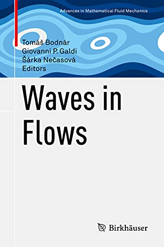 Waves in Flows view 2
