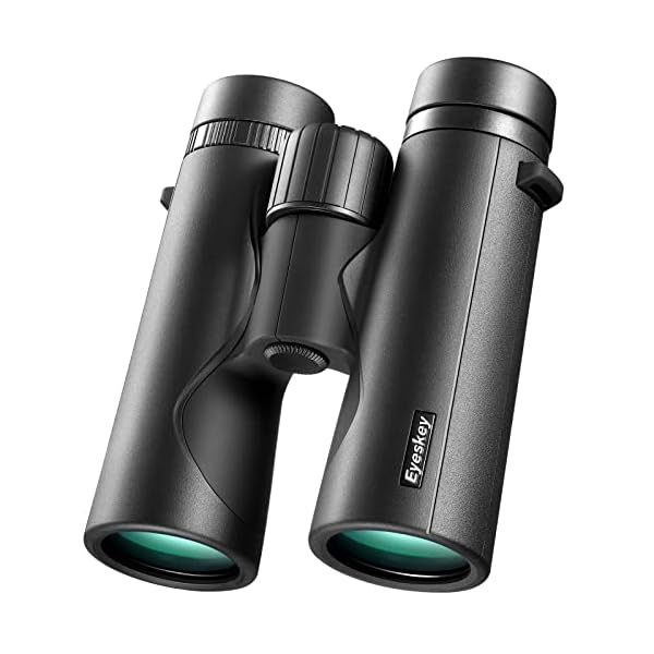 Eyeskey HD-Small-Binokular für Erwachsene, kompaktes und leichtes Fernglas für Vogelbeobachtung und Jagd, 100…