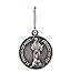 Silver Toned Saint St Francis Protect My Pet Collar Medal, 1 Inch