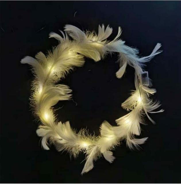 GenericR K Enterprises Feather Tiara with led Light for Girls Floral Crown/Birthdays Parties Celebrations Tiara Crown Headband with LED Lights (WORM WHITE COLOUR) 1 pcs
