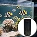 Seaweed Feeder Clip for Saltwater Tanks with Strong Suction – Mountable Vertical/Horizontal Fish Feeder