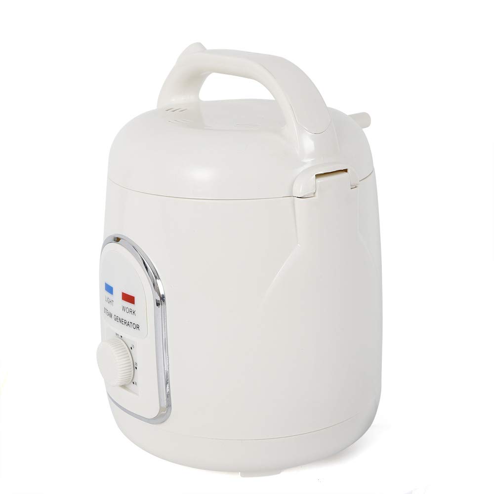 Generatore di vapore per sauna portatile 1,5 l con timer 60 minuti