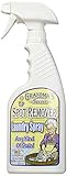 Grandmas Secret Spot Remover Laundry Spray 16FL oz 473ml