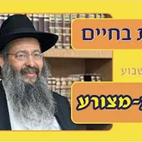 "ובחרת בחיים" 👑 פרשת תזריע-מצורע תשפ"ו 🔵 הרב יפתח סופר