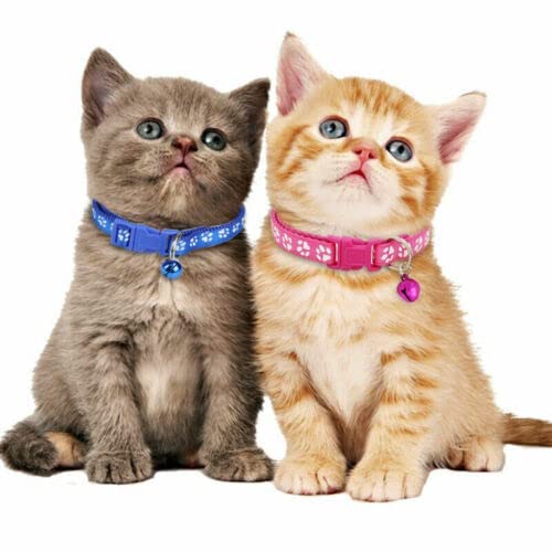 Image of Footprint Cat Collar with Bell Basic Dog Cat Collar I Buckle Adjustable Polyester Cat Dog Collar I with Bell 10 MM (Blue Color)