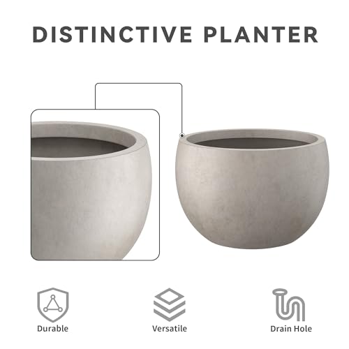 Kante 10 in x 15-16 in Low Concrete Planter, Wide Bowl Plant Pot with Drainage Hole & Rubber Plug – Breathable Handmade Cement Container for Succulents, Tabletop, Patio, Weathered Concrete by Kante - Image 7