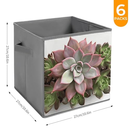 Chambre et placard ordonnés avec le bac de rangement pliable