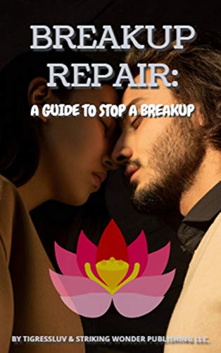 Breakup Repair:A Guide To Stop A Breakup (English Edition)