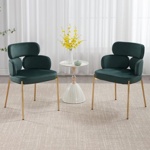DAYALANE Esszimmerstühle 2er Set, Küchenstuhl Polsterstuhl mit Metallbeine aus Samt, Gebogene Rückenlehne Wohnzimmerstuhl für Esszimmer Wohnzimmer Küche Schlafzimmer, Grün DAYALANE Esszimmerstühle 2er Set, Küchenstuhl Polsterstuhl mit Metallbeine aus Samt, Gebogene Rückenlehne Wohnzimmerstuhl für Esszimmer Wohnzimmer Küche Schlafzimmer, Grün