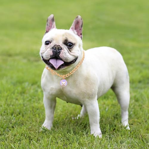 Image of HOWWFALY Dog Collar and Cat Chain Necklace Stainless Steel Adjustable 18K Gold Heart-Shaped Necklace for Small Pets Cats Kitten Puppy (Gold, 17.7 inch)
