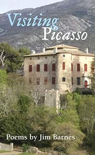 Visiting Picasso view 2