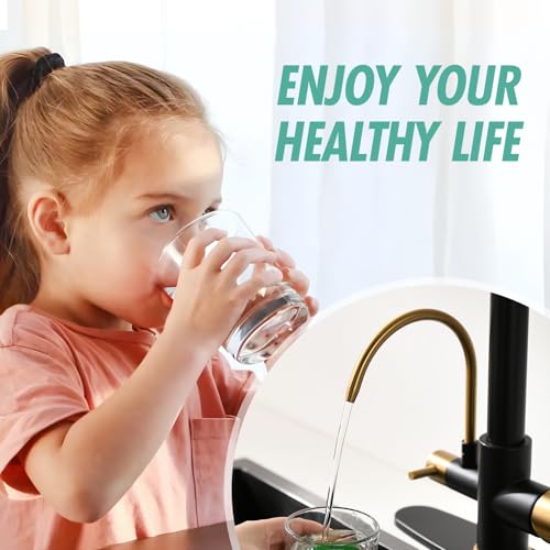 Image of Fapully Commercial Kitchen Faucet with Pull Down Sprayer and Water Filter | Matte Black&Brushed Gold, 3 in 1 Kitchen Faucets with Drinking Water Faucet for Kitchen Sink