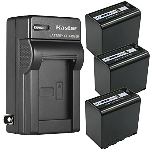 Kastar 3-Pack Battery and Charger for Panasonic Cameras
