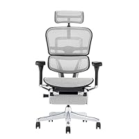 エルゴヒューマンプロ2 オットマン付 EHP2-LPL-DR-BF-BK EHP2-LPL-DR-BF-BK エルゴヒューマン PRO2 Ottoman ブラック