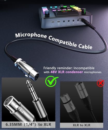 Image of T12S and 6.35MM TO XLR CABLE